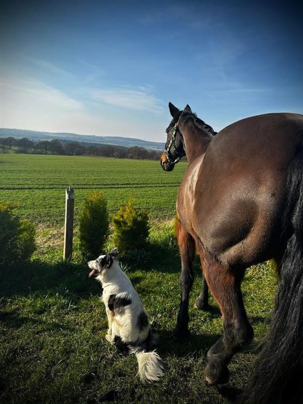 Watching the world
